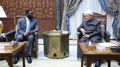 شيخ الأزهر: الشعب الفلسطيني يتعرض لأسوأ إبادة جماعية في ظل تخاذل دولي وضعف أممي 