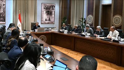 مدبولي: عقد اجتماع أسبوعي لمتابعة مستجدات ترتيبات احتفالية المتحف المصري الكبير