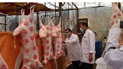 غدا، محافظ الدقهلية يفتتح مجزر ميت الكرما بعد تطويره بتكلفة 20 مليون جنيه 