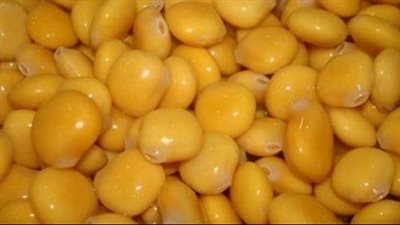 فوائد الترمس، يحمي من سرطان القولون والمستقيم وتصلب الشرايين 