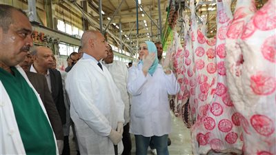 محافظ القاهرة يتفقد مجزر 15 مايو 