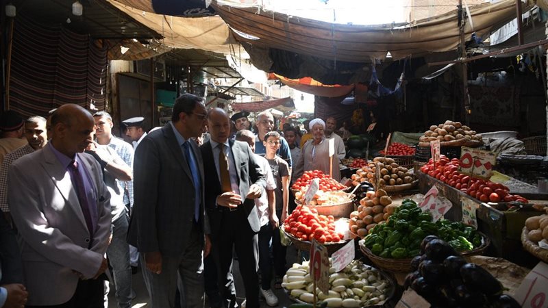 محافظ قنا يتابع جاهزية