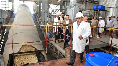 مراحل تحويل البنجر إلى سكر، جولة داخل مصنع السكر في الدقهلية (فيديو وصور)