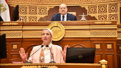 وزيرة البيئة: قانون المحميات الطبيعية يحتاج لتعديلات لمواكبة المستجدات