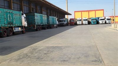 توريد 589 ألف طن قمح لصوامع وشون الشرقية منذ بدء موسم الحصاد