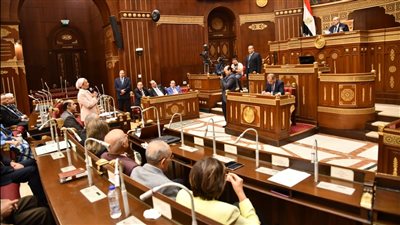  نائب يسأل الحكومة عن علاقة ما حدث بالإسكندرية بالتغيرات المناخية