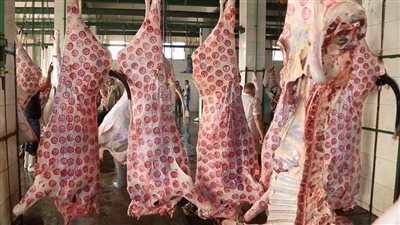  لحمة العيد.. اللى ما يشترى يتفرج!.. توقعات بانخفاض شديد فى المبيعات..و2 كيلو بألف جنيه..وشيخ الجزارين يحمل الحكومة المسئولية 