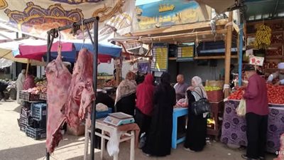  قبل عيد الأضحى، طرح لحوم بلدية طازجة بـ 280جنيهًا للكيلو في الوادي الجديد 