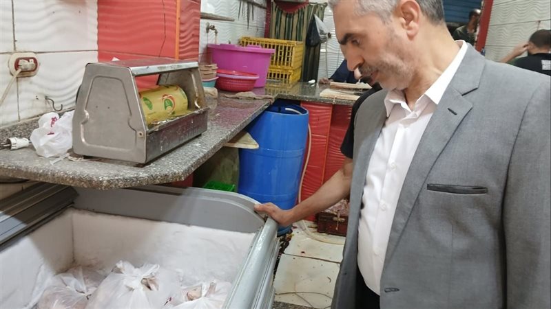 الاسكندريه 