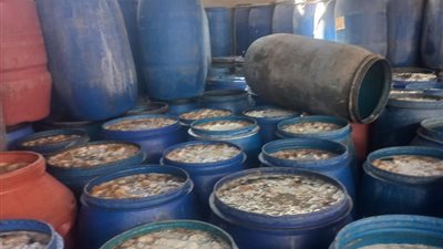 قبل عيد الأضحى، تحرير 175 محضرا ضد منشآت غذائية وصناعية بالشرقية