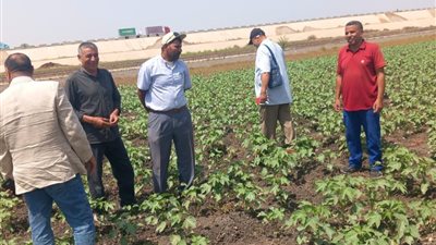 زراعة الشرقية يوجه بمكافحة الآفات بالمحاصيل الزراعية وتنقية الحيازات المسجلة 