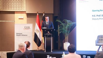 نائب رئيس الوزراء: مصر ملتزمة بنجاح الاستثمار الأجنبي