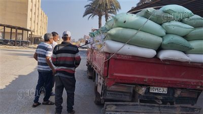تموين كفر الشيخ: توريد القمح يتجاوز 221 ألف طن 