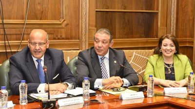 اجتماع مساعد وزير الخارجية بلجنة الشئون الخارجية بمجلس الشيوخ