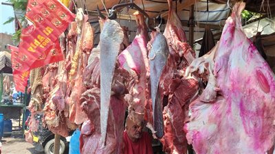 البلدي بـ 300 والضأن بـ 400، أسعار اللحوم داخل مدبح السيدة زينب (فيديو وصور) 