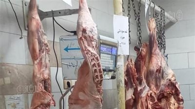 تخصيص معارض دائمة وشوادر لبيع اللحوم بمختلف أنواعها بأسعار مخفضة في أسوان (صور)