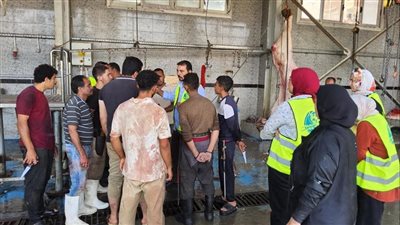 تزامنا مع عيد الأضحى، مياه القليوبية تطلق حملة لترشيد استهلاك المياه 