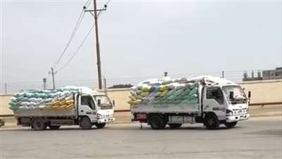 استمرار تدفق الأقماح المحلية لشون وصوامع محافظة الشرقية