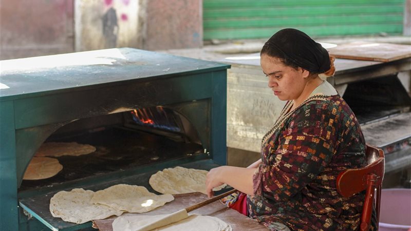صناعة الرقاق، فيتو