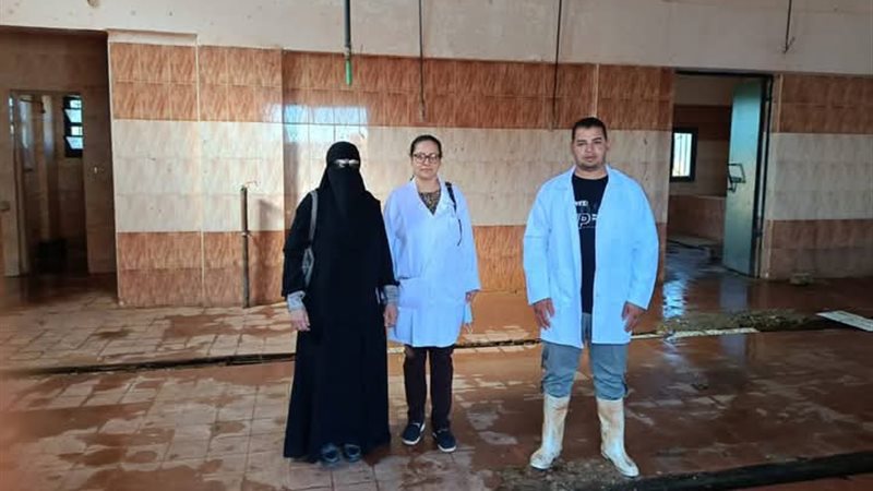مجازر الوادي الجديد،
