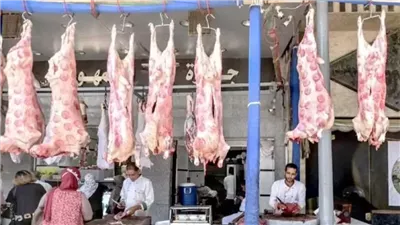 الضاني يتراجع 6 جنيهات، أسعار اللحوم اليوم في الأسواق