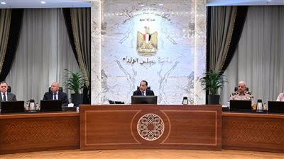 رئيس الوزراء: الموارد المحلية من العملة الصعبة كافية لتغطية الاستخدامات