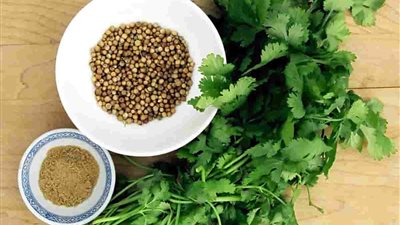 فوائد الكزبرة، تنظم سكر الدم وتدعم صحة الدماغ