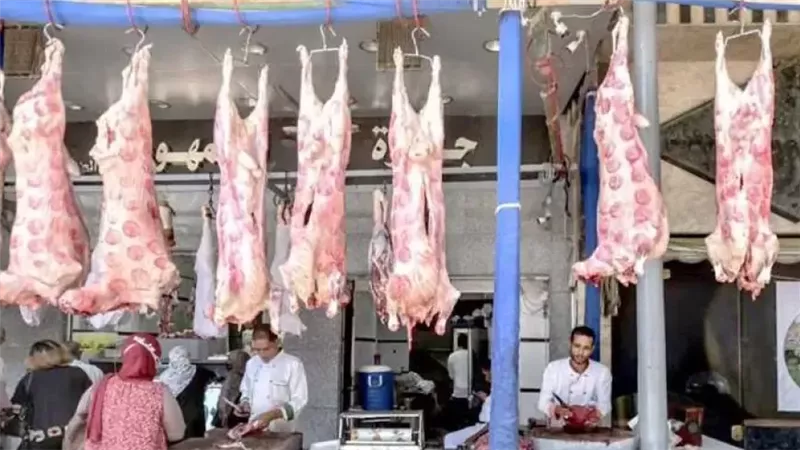 اسعار اللحمة