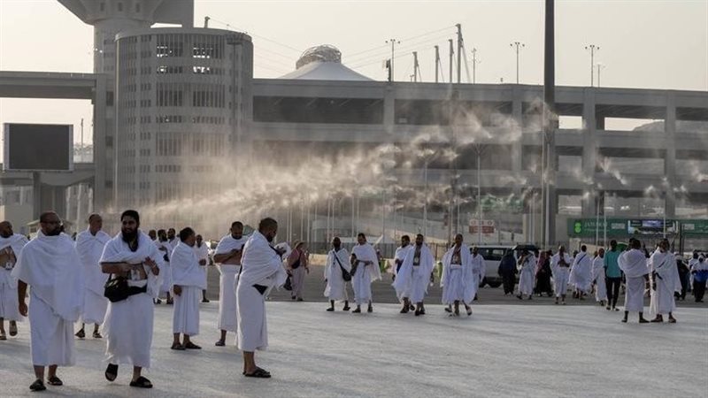 حجاج، فيتو