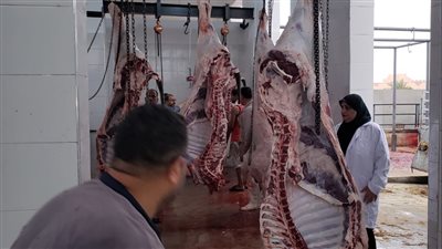 محافظ الإسماعيلية يوجه الطب البيطري بتكثيف الحملات الرقابية على المنافذ والمجازر (صور)