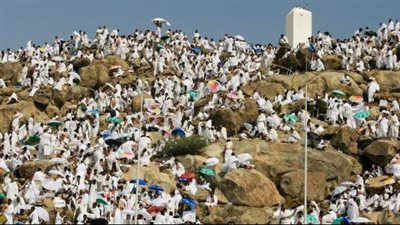 ركن الحج الأعظم، تعرف على أعمال ضيوف الرحمن في يوم عرفة 