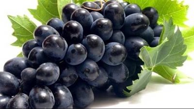فوائد العنب الأسود، يحسن الذاكرة ويحمي من السرطان وألزهايمر