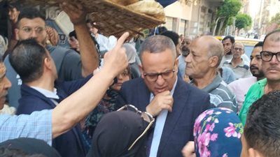 ضبط طن لحوم وأغذية فاسدة في حملات تموينية بالدقهلية (صور)