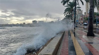 بعد الإعصار المخيف، خبير باليونسيف يكشف تفاصيل جديدة بشأن مواجهة الإسكندرية لتسونامي 