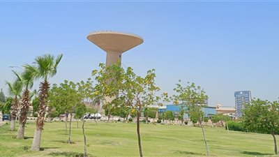 معدلات تنفيذ مشروعات المسطحات الخضراء بالشروق