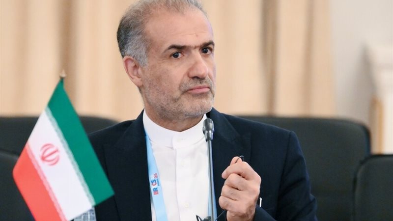 السفير الإيراني فى