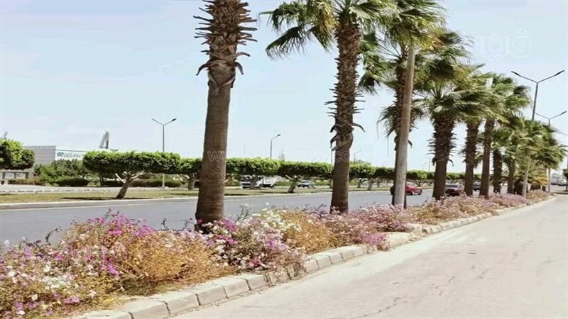 متنزهات الشرقية،فيتو