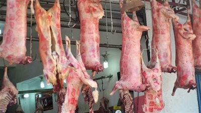 مع بدء موسمها الرئيسي.. ارتفاع أسعار اللحوم الضأن بالأسواق.. الكيلو المستورد بـ 390 جنيهًا.. البلدي يصل لـ 500 جنيه.. شيخ الجزارين يوضح أسباب الارتفاع