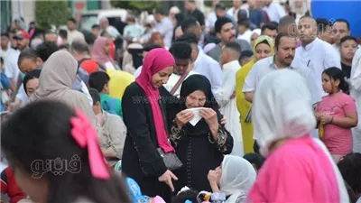 أخبار مصر: المصريون يحتفلون بالعيد، ماسك يفتح الملف الأسود لـ ترامب، زيزو يطير لأمريكا، الأرصاد تحذر من طقس أول أيام العيد