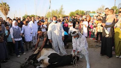 محافظ الوادي الجديد يشهد نحر الأضحية احتفالا بالعيد (صور) 