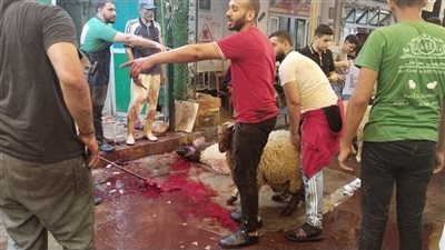 اصطفاف المواطنين أمام محال الجزارة لذبح الأضاحي بالإسكندرية (صور) 