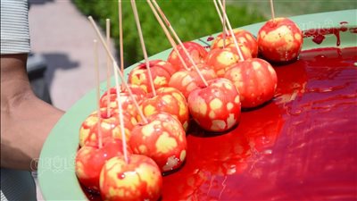 التفاح بالعسل تحلية المصريين بأول أيام عيد الأضحى في الحديقة اليابانية (صور) 