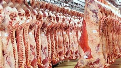 المجازر الحكومية تستقبل أكثر من 9800 أضحية خلال أول أيام العيد