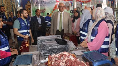محافظ القليوبية يتفقد مجزر شبرا شهاب بالقناطر الخيرية 