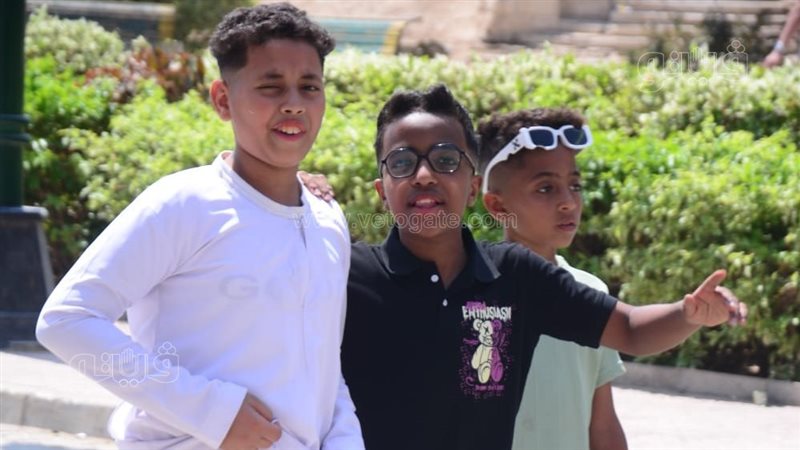 الحديقة اليابانية،