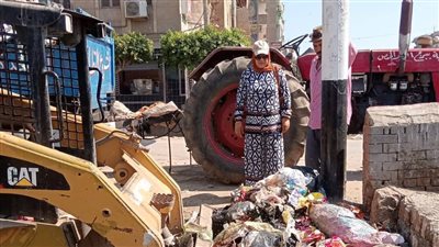 حملات نظافة مكثفة بشوارع الدقهلية في ثاني أيام عيد الأضحى