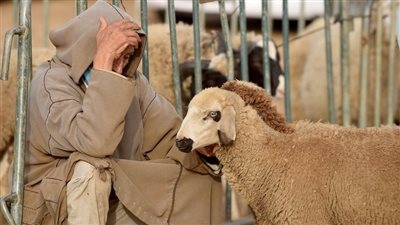 بعد إلغاء شعيرة النحر، كيف احتفل المغاربة بعيد الأضحى؟