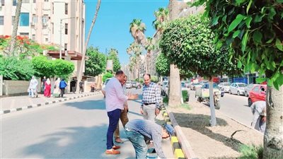 رفع 430 طن قمامة في الدقهلية خلال أيام العيد (صور) 