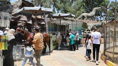 القرد والحصان يجذبان زوار حديقة الحيوان بالحديقة الدولية في ثاني أيام عيد الأضحى (فيديو وصور) 