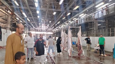 ذبح 20 ألف أضحية بالمجازر الحكومية خلال أول يومين لعيد الأضحى المبارك